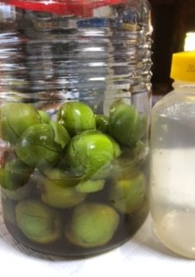 ばあばの簡単 梅 の 蜂蜜 カリカリ漬け-レシピのメイン写真