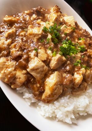 本格麻婆豆腐ごはん-レシピのメイン写真