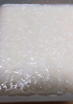 塩麹　常備調味料-レシピのメイン写真