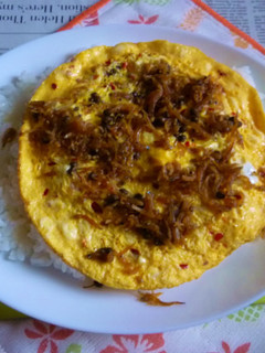 ちりめん山椒入りオムレツのカフェ丼-レシピのメイン写真