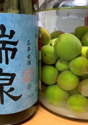 泡盛 瑞泉 梅酒 2021.5.25.-レシピのメイン写真