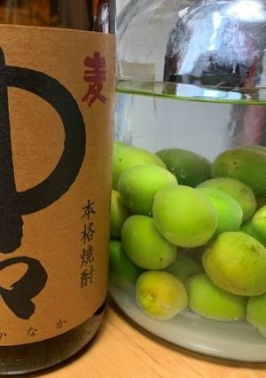 麦焼酎　中々　梅酒　2021.5.25.-レシピのメイン写真