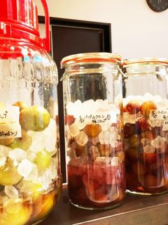 梅ジュース 梅シロップ 古城梅編-レシピのメイン写真