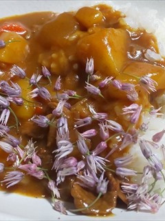 アサツキの花をカレーにトッピング-レシピのメイン写真