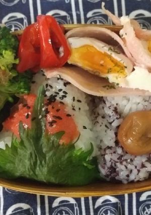☆わっぱ弁当生活183-レシピのメイン写真