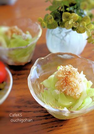 素材一品だけおかず、キャベツのおろし和え-レシピのメイン写真