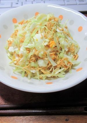 驚愕のコスパ：自作無限キャベツの作り方-レシピのメイン写真