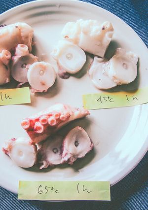 45℃〜 生タコの低温調理 温度時間比較-レシピのメイン写真