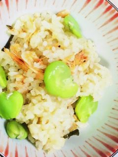 そらまめと桜海老の炊き込みご飯-レシピのメイン写真