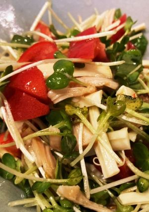 集まれ〜カイワレの森サラダMIX-レシピのメイン写真