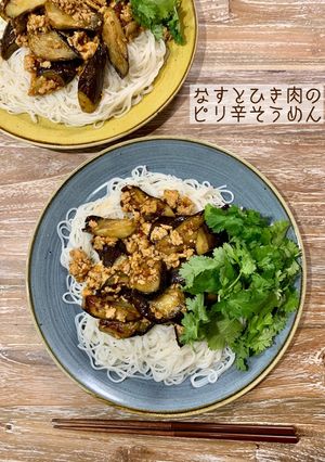 なすとひき肉のピリ辛そうめん-レシピのメイン写真