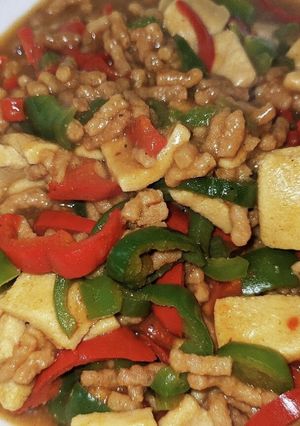 栄養たっぷり麻婆高野豆腐-レシピのメイン写真