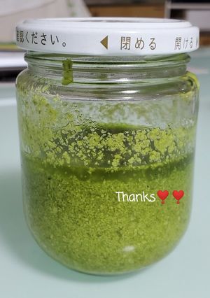 セロリの葉のジェノベーゼ-レシピのメイン写真