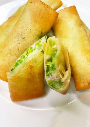 キャベツとチーズの春巻き-レシピのメイン写真