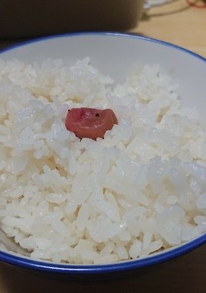 【夏バテ予防】おうちで梅干し-レシピのメイン写真