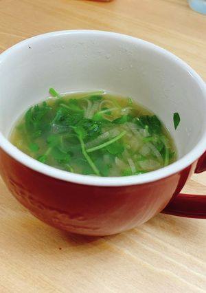 豆苗で満足！醤油ラーメン風スープ-レシピのメイン写真