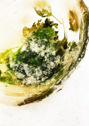 実験　しその香りが最高！氷器^ ^だめら-レシピのメイン写真