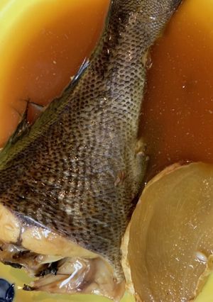 #魚の煮つけ#煮魚#いさきの煮つけ-レシピのメイン写真