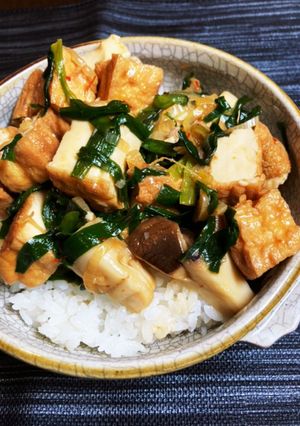 夏野菜のニラたっぷり厚揚げ丼-レシピのメイン写真