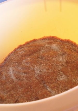 手作り　味噌-レシピのメイン写真