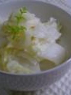 +・+・白菜のサラダ゜+・+・-レシピのメイン写真