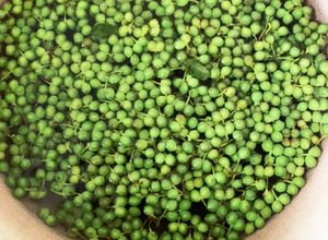 山椒の実のあくぬき 山椒の実のあくぬき-レシピのメイン写真