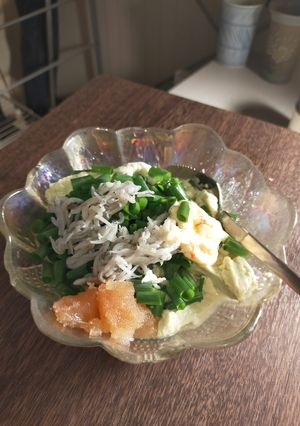 おつまみネギ豆腐-レシピのメイン写真
