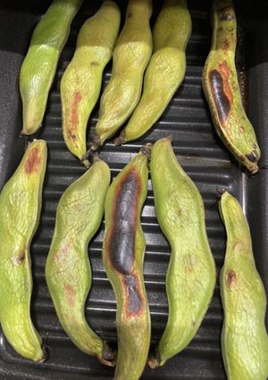 【デリシア】殻付きそら豆焼き-レシピのメイン写真