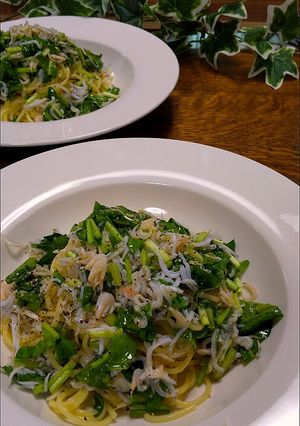 ルッコラとしらすと桜えびのパスタ-レシピのメイン写真