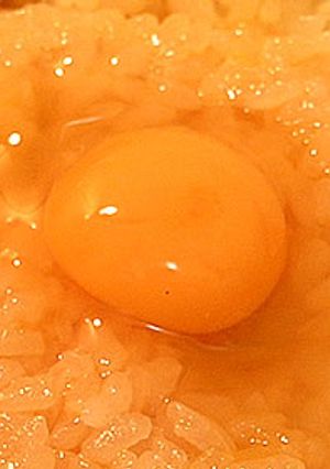 第９１の隷使緋：ウズラノタマゴカケル-レシピのメイン写真