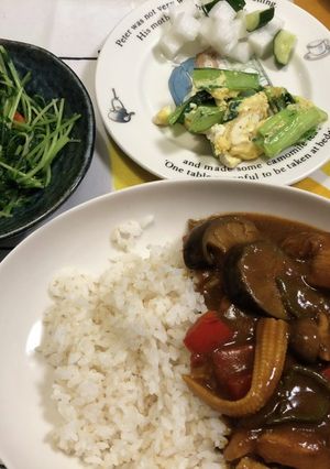 夏野菜とチキンムネ肉のカレー-レシピのメイン写真