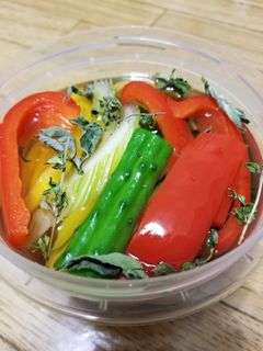 パプリカと野菜のピクルス-レシピのメイン写真