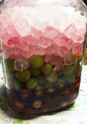 カリカリ甘梅漬（去年の梅酢）-レシピのメイン写真