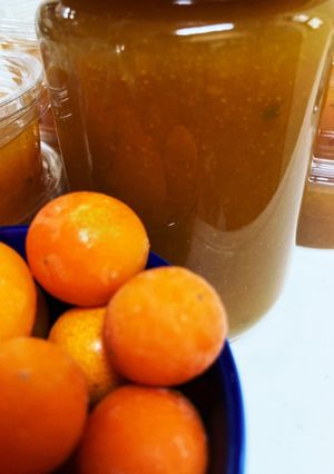 種ごとまるまる☆栄養満点☆きんかんジャム-レシピのメイン写真