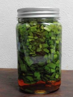 にらの薬味と香味醤油-レシピのメイン写真