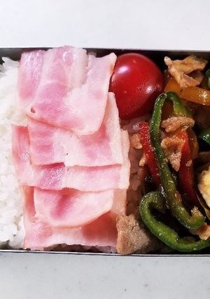 豚肉パプリカ炒め弁当(6.1)-レシピのメイン写真