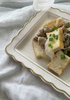 豚肉と厚揚げの塩レモン炒め-レシピのメイン写真