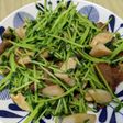 時短☆マルシンハンバーグの豆苗炒め