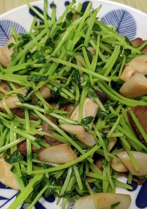 時短☆マルシンハンバーグの豆苗炒め-レシピのメイン写真