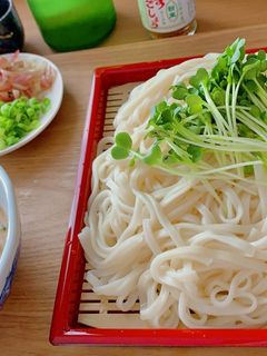 冷汁すったてうどん-レシピのメイン写真