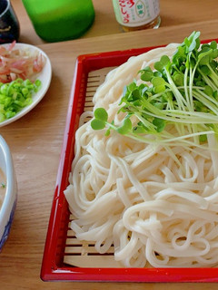 冷汁すったてうどん-レシピのメイン写真