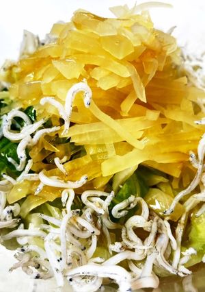 キャベツと刻みたくあんのごま油シラス和え-レシピのメイン写真