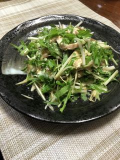 サラダチキンと薬味のシャキシャキサラダ-レシピのメイン写真