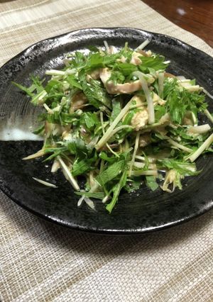 サラダチキンと薬味のシャキシャキサラダ-レシピのメイン写真