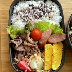 本日の10分で出来る手抜き弁当-レシピのメイン写真