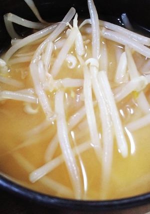 シンプル★もやしのお味噌汁-レシピのメイン写真