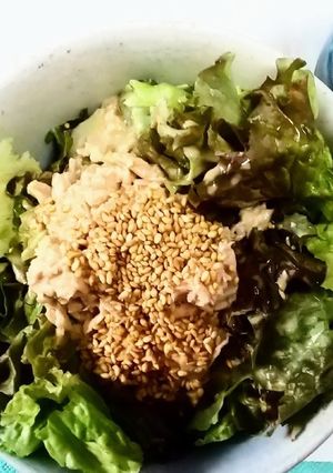 レタスもりもり醤油マヨサラダ♪-レシピのメイン写真