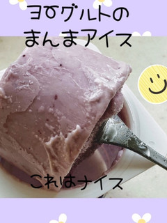 簡単 ヨーグルトのまんまアイス-レシピのメイン写真
