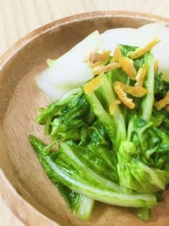 白菜のあっさり浅漬け-レシピのメイン写真