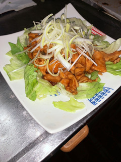 鶏肉のかんたん照煮-レシピのメイン写真